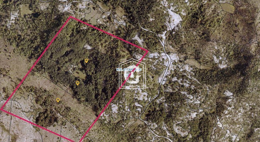 Oak forest and pasture in an amazing location!!!